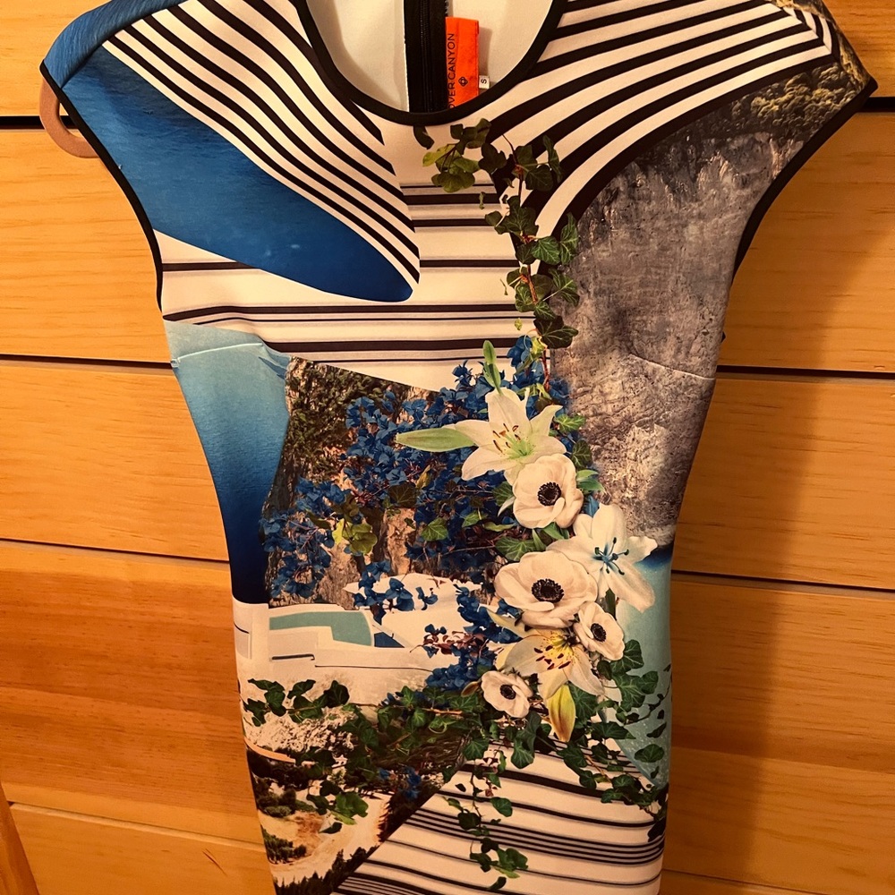 Clover Canyon Dress
